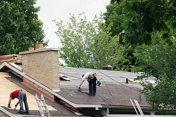 Best Gutter Installation and Repair  in Imlay City, MI