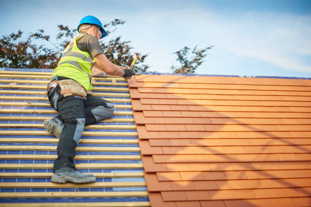 Best Roof Moss and Algae Removal  in Imlay City, MI